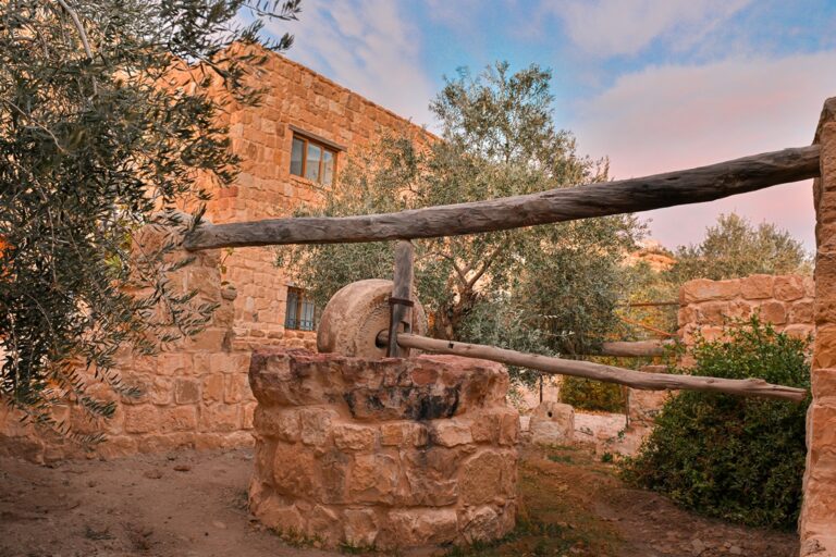 ancient stone olive oil press (3)